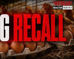 Egg Recall 2026: 19 Million Eggs Recalled Due to Salmonella Risk – Check the Affected Brands